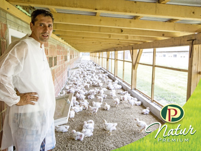 Farma Boreci, Perutninarska zadruga Ptuj z.o.o. Farma Boreci, Perutninarska zadruga Ptuj z.o.o.