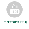 ikona YT PP